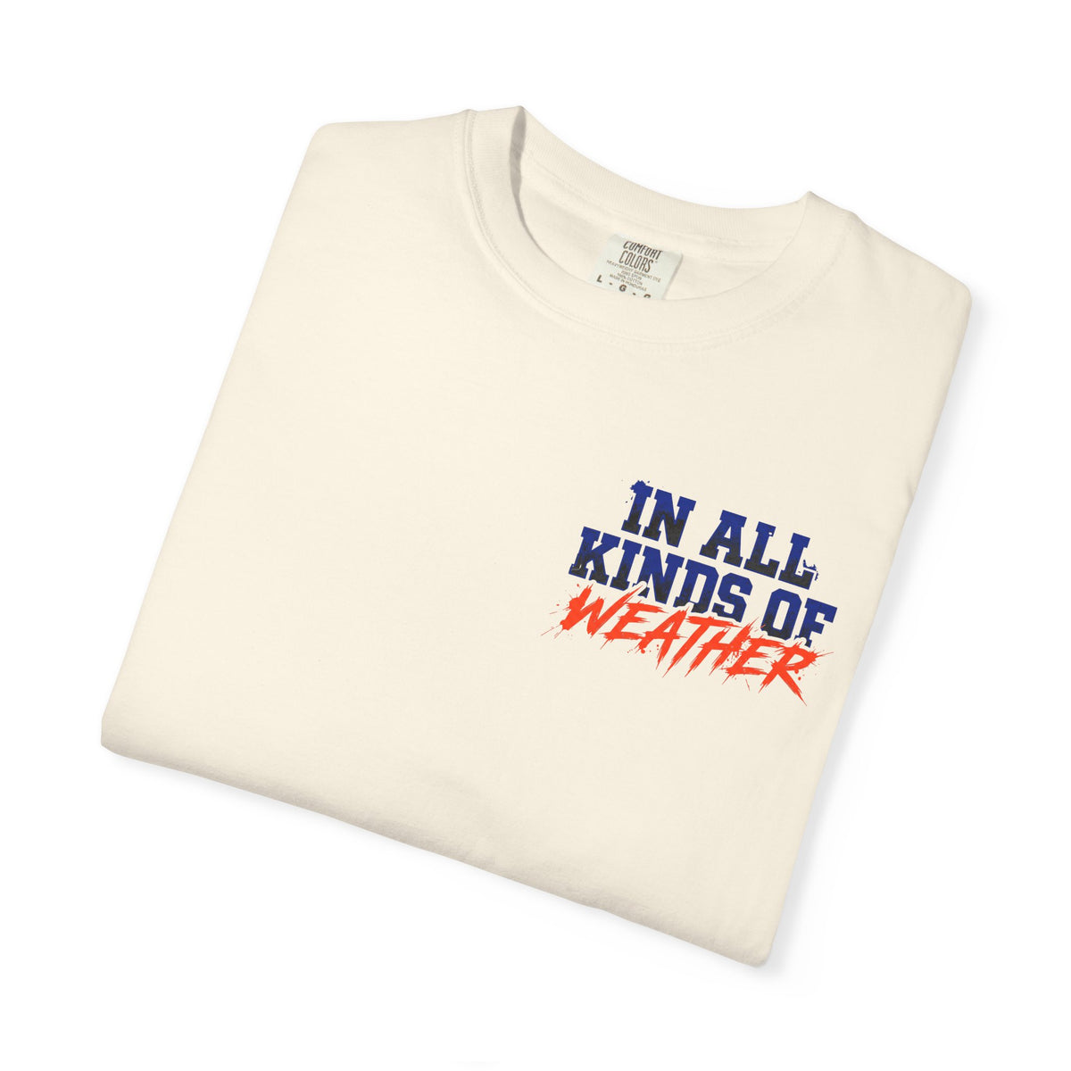 Florida Gator "In All Kinds of Weather" T‑Shirt