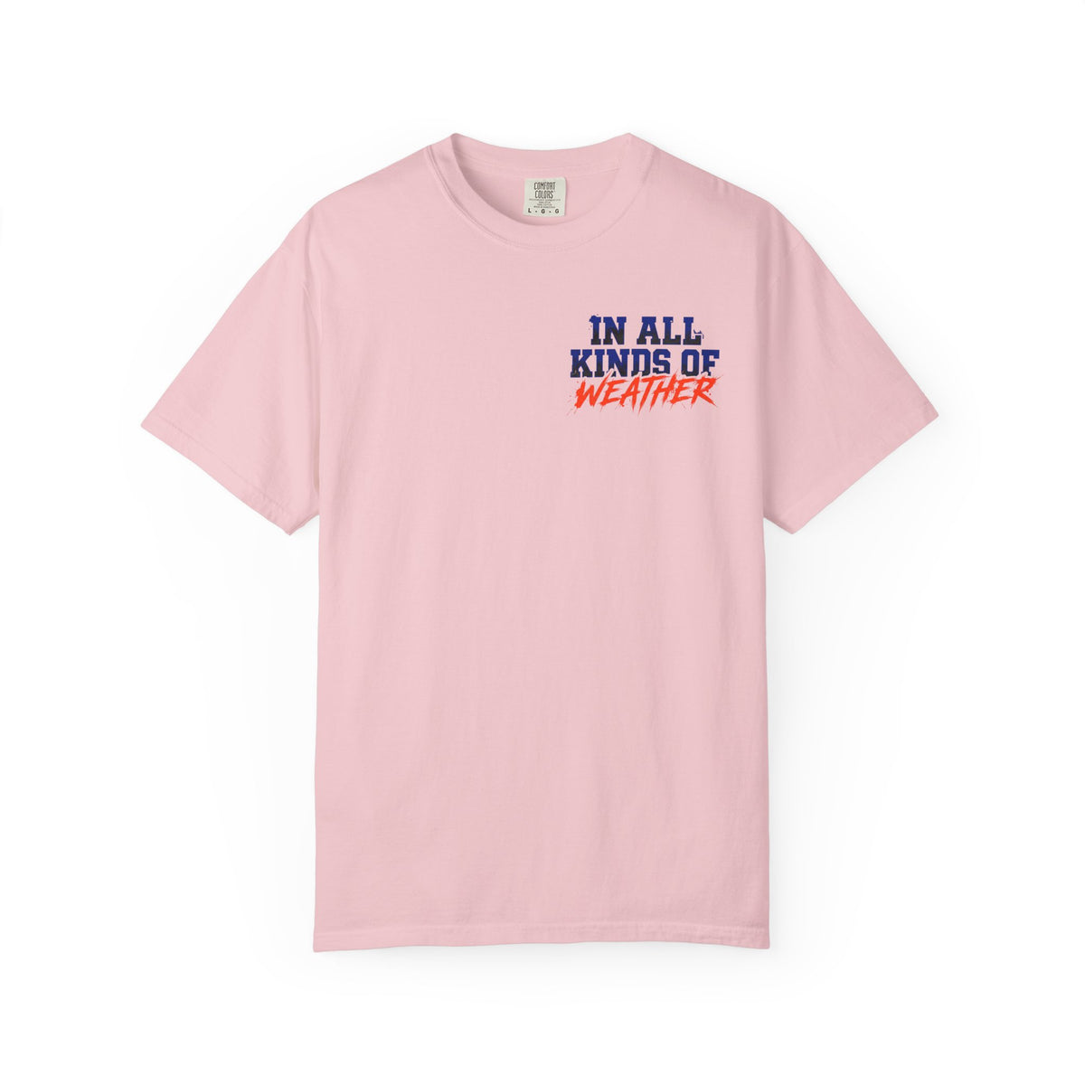 Florida Gator "In All Kinds of Weather" T‑Shirt