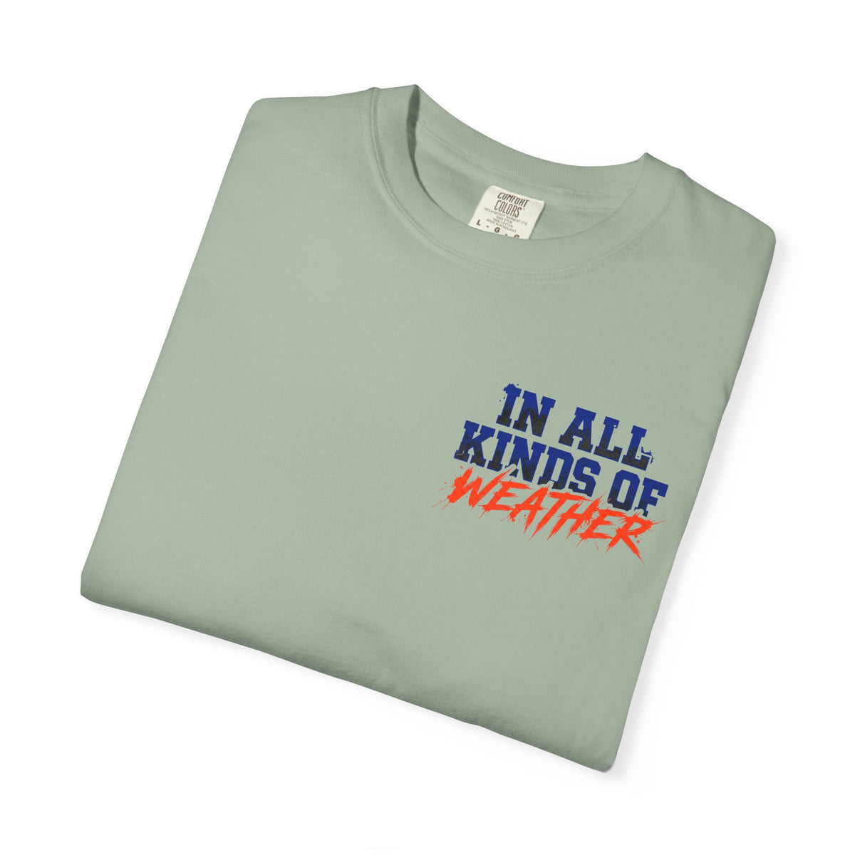 Florida Gator "In All Kinds of Weather" T‑Shirt