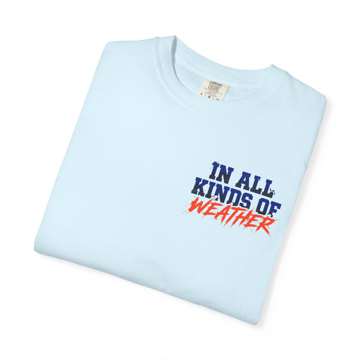 Florida Gator "In All Kinds of Weather" T‑Shirt
