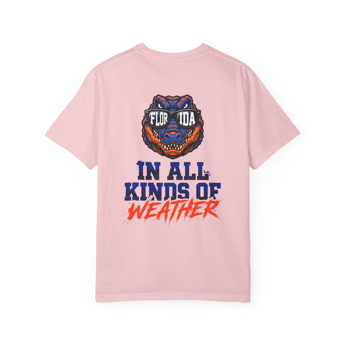 Florida Gator "In All Kinds of Weather" T‑Shirt