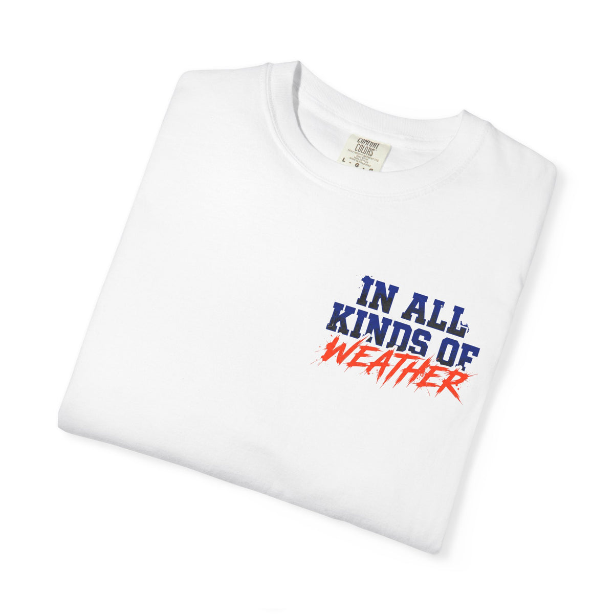 Florida Gator "In All Kinds of Weather" T‑Shirt